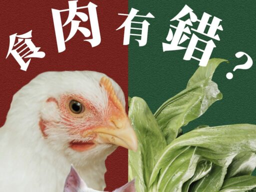 邀稿：〈談素食：食肉有錯？〉